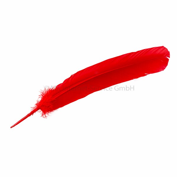 Feder Turkey, rot