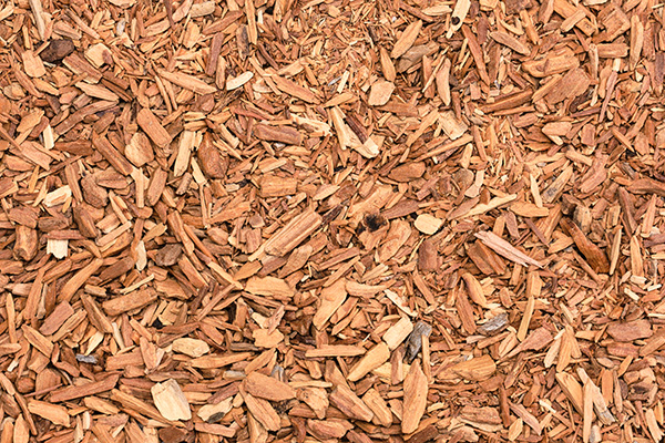 Sandelholz