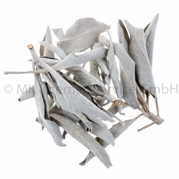 White Sage - Weißer Salbei (USA) 25 g