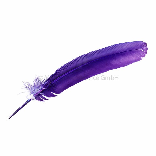 Feder Turkey, violett